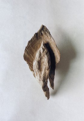 Hiroki Tashiro “Angelus #3” 2019 Camphor tree 160×330×120