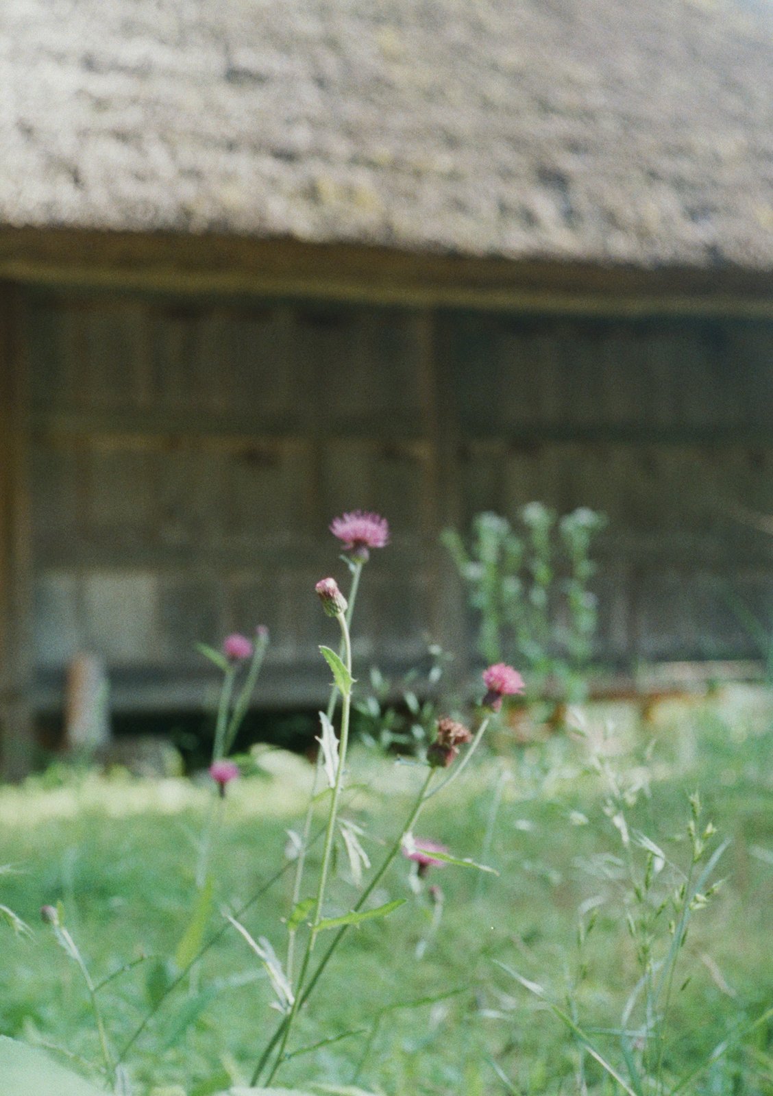 Thistle and Grain hut