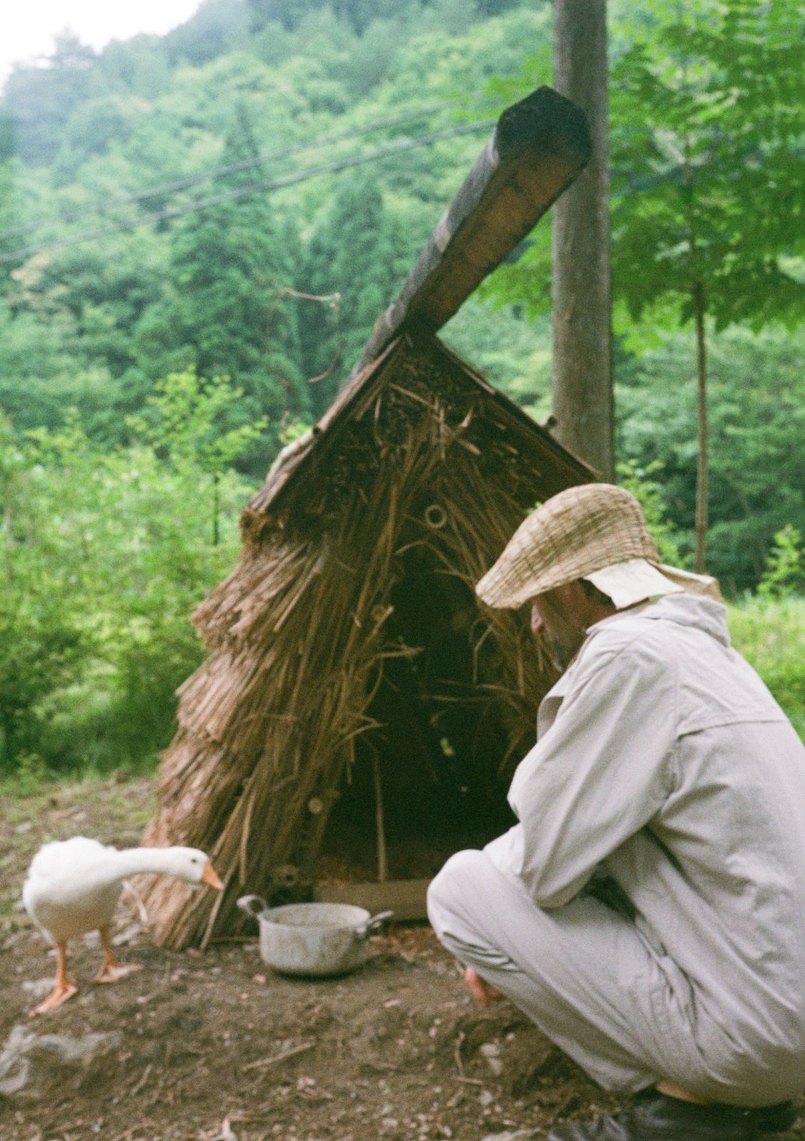 2m26 work by Mélanie Heresbach and Sébastien Renauld.In an Edo period farmhouse and the vast surrounding grounds, the architects develop an experimental architectural design and construction based on a unique architectural philosophy that makes faithful use of traditional Japanese construction methods.A thatched duck house in the style of a Jomon house