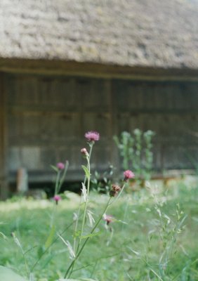 Thistle and Grain hut