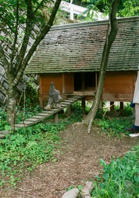 Chicken hut on stilts with a cedar bark roof